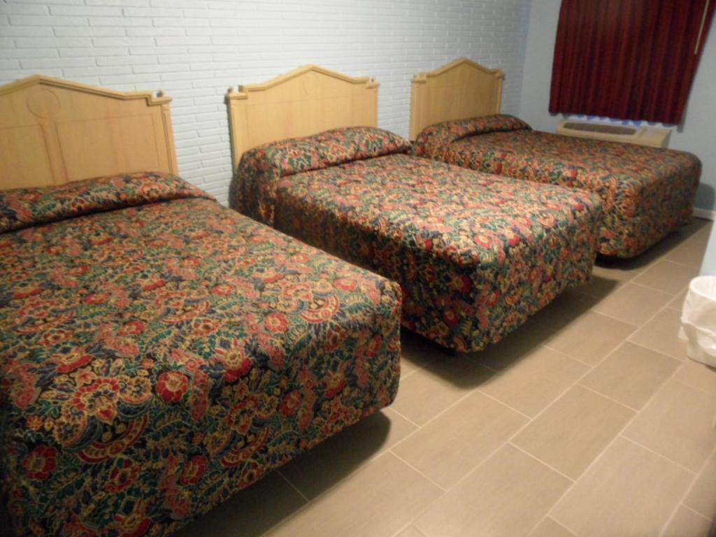 Franklin Terrace Motel Seaside Heights Bilik gambar